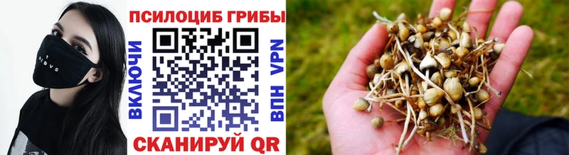 Псилоцибиновые грибы мицелий  Чёрмоз 